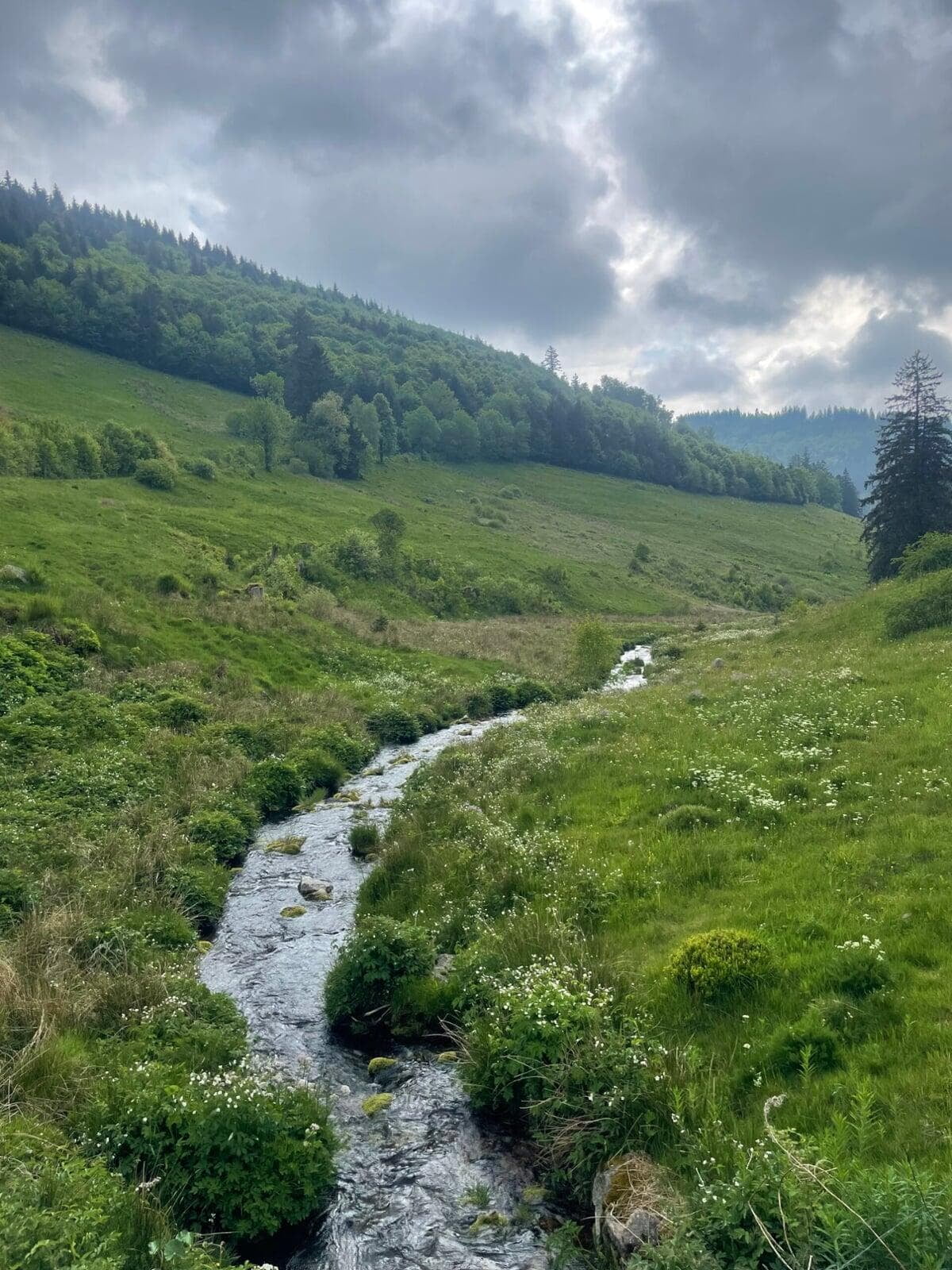 Schwarzwald. Antistress Training